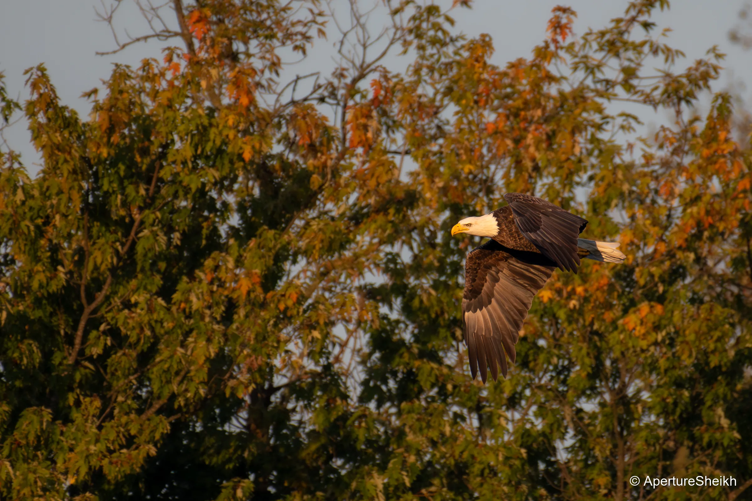 Flying at McHenry Dam